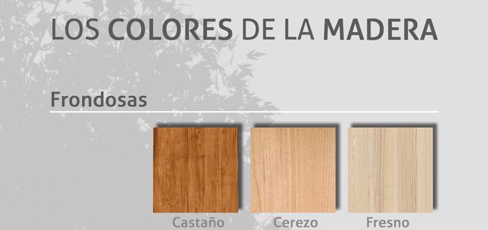 Infografía: Los Colores de la Madera