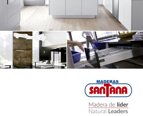 Presentacion Maderas Santana